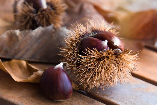 Verse Kastanjes Houten Achtergrond — Stockfoto