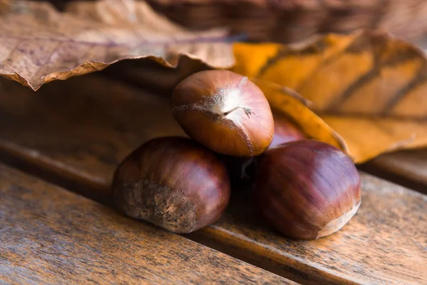 Castanhas Frescas Sobre Fundo Madeira — Fotografia de Stock