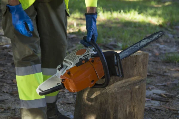 Leñador Trabajador Forestal Que Trabaja Con Motosierra —  Fotos de Stock