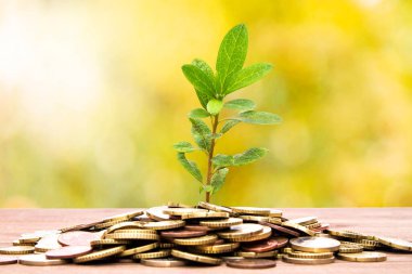 fabrikalar ve madeni paralar, tasarruf kavramı