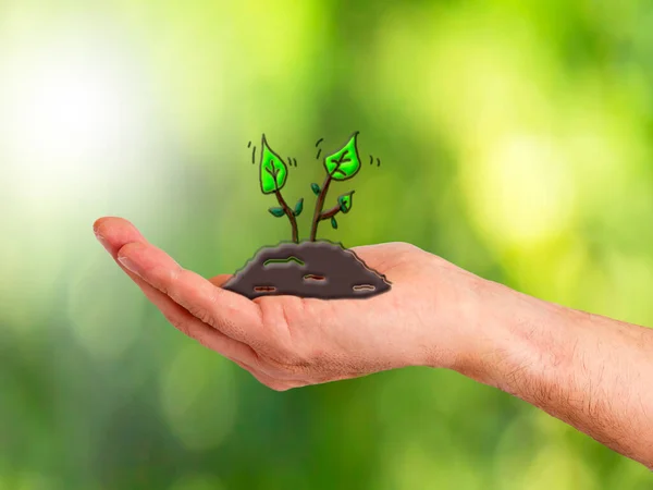 Mano Sosteniendo Ramita Árbol Tierra Concepto Ecología — Foto de Stock