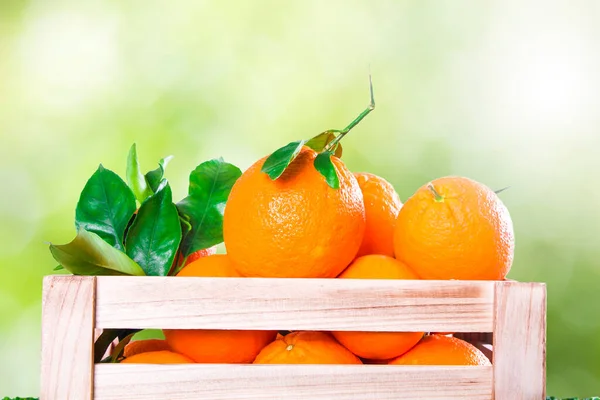 背景がオレンジの木の箱 — ストック写真