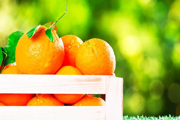 緑の背景を持つオレンジの箱 — ストック写真