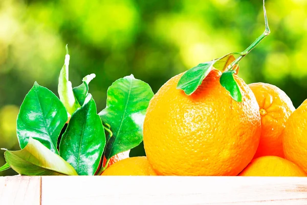 Caja Naranjas Con Fondo Verde — Foto de Stock