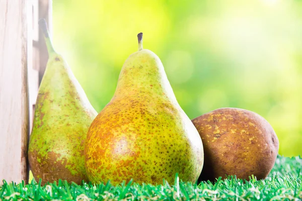 Set Fresh Pears Seasonal Fruit —  Fotos de Stock
