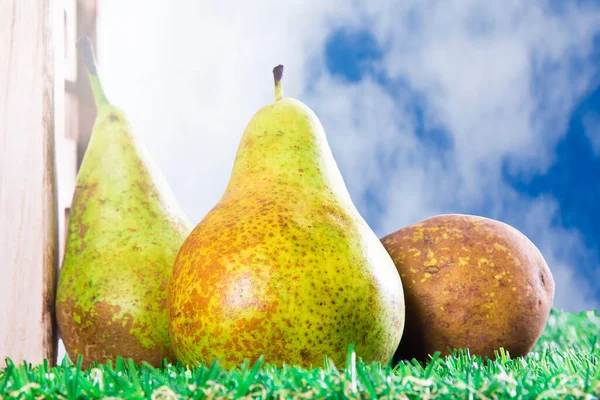 Set Fresh Pears Seasonal Fruit —  Fotos de Stock