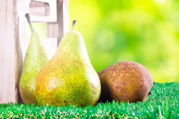 Set Fresh Pears Seasonal Fruit — ストック写真