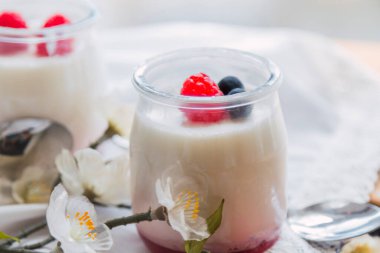 sağlıklı kahvaltı yoğurt ve yaban mersini