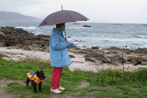 Μοναχική Ηλικιωμένη Γυναίκα Ομπρέλα Που Περπατάει Σκύλο Της — Φωτογραφία Αρχείου