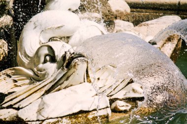 fountain of the royal palace of aranjuez ,madrid, spain, europe