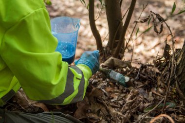 performing treatment for diseased trees