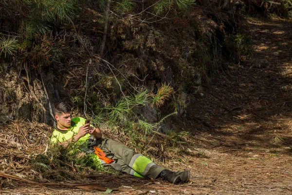 Forestry Worker Lumberjack Resting Using Phone — 스톡 사진