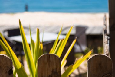 Plaj manzarası ve sahil barından deniz manzarası.