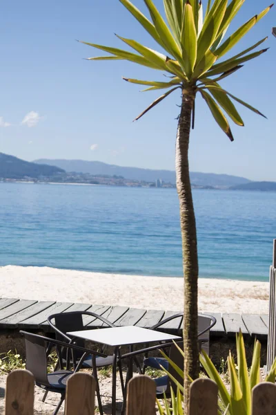 Tropical Summer Bar Overlooking Beach —  Fotos de Stock
