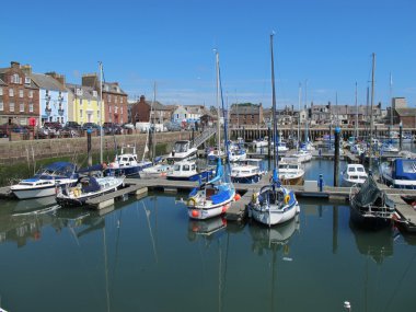 liman alanı arbroath İskoçya