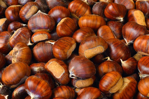 Texture Castagne Angolo Piatto Posa — Foto Stock