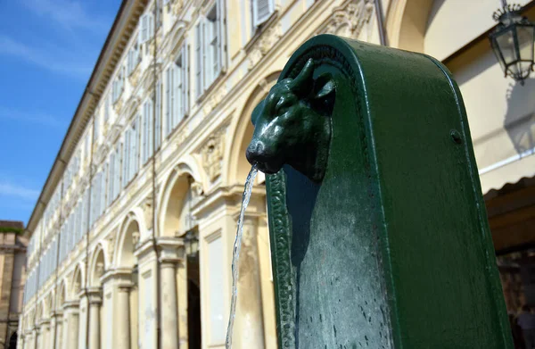 Turin Piedmont Italy Toret Traditional Public Water Fountain Green Bull — Photo