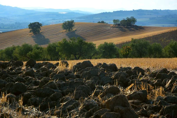 Paisagens Ensolaradas Campo Molise Sul Itália — Fotografia de Stock