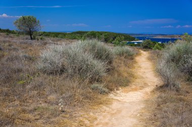 kamenjak cape yaya yolu