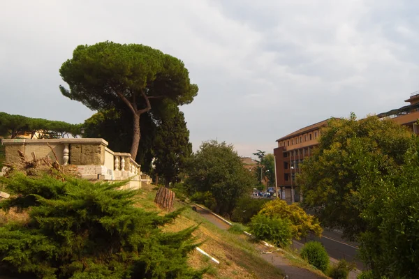 Parco vicino al Colosseo, Roma Immagine Stock