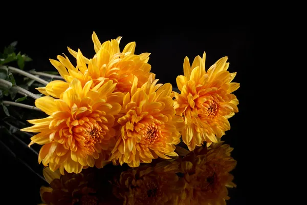 Bouquet Large Yellow Chrysanthemums Black Background Reflection — Stock Photo, Image