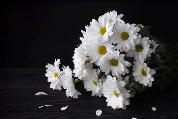 Large Flowers White Chamomile Levcantemella Dark Wooden Background Copy Space — Stock Photo, Image