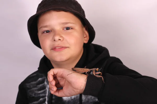 少年の腕の上に大きな茶色のカマキリ — ストック写真