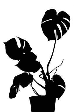 Beyaz bir arka planda izole edilmiş yeşil, büyük, terk edilmiş bir canavarın silueti.