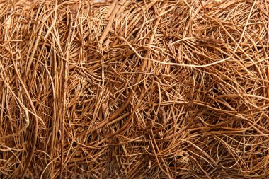 Hindistan cevizi lifinin soyut arkaplanı.