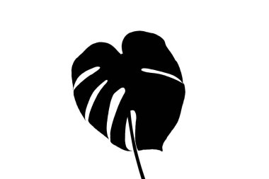 Devamlı yeşil yapraklı bir canavarın silueti beyaz bir arka planda izole edilmiştir.