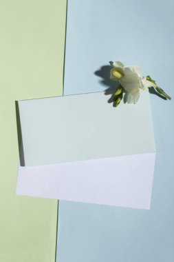 Davetiye ya da tebrik kartı modeli zarflı ve pastel yeşil ve mavi arkaplan üzerine boş kağıt. Üst görünüm modelini kopyalama alanı ile stil et. Markalaşma ve reklam şablonu