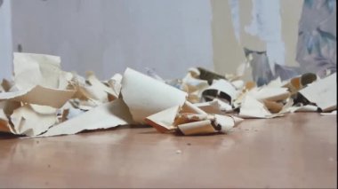 Tamir et. Duvardan sökülmüş duvar kağıdı parçaları..