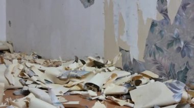 Duvardan sökülmüş duvar kağıdı parçaları. Onarım.