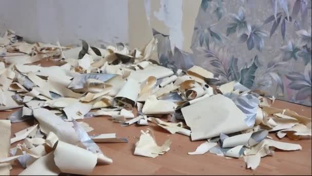 Кусочки Демонтированных Обоев Стены Полу Ремонт — стоковое видео