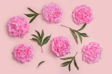 Pastel pembe arka planda narin pembe şakayık çiçekleri olan kompozisyon. Selamlama kartı modeli.