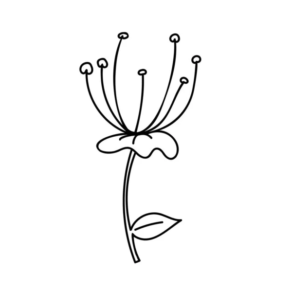 Flower Outline Hand Drawn Floral Elements Design Sketch Drawing — Vetor de Stock
