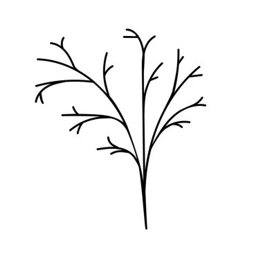 Outline of a tree branch hand drawn. Sketch drawing. Doodle design element