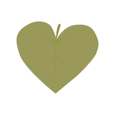 Moning glory flower leaf hand drawn isolated on white background