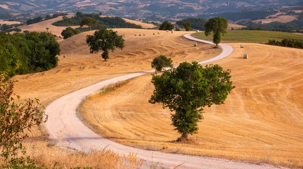 Rural Landscape Winding Road Farm Fields Countryside — Stock Photo, Image