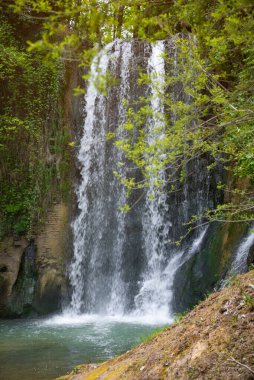 Ağaçların arasındaki ormanda güzel bir şelale