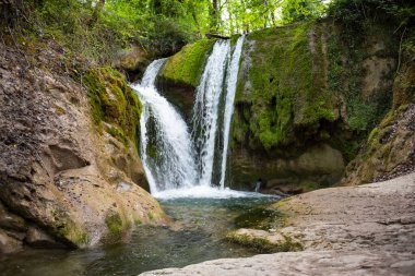 Ağaçların arasındaki ormanda güzel bir şelale