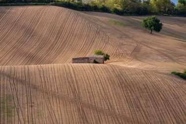 Tarlaları, evleri ve ağaçları olan kırsal alan.