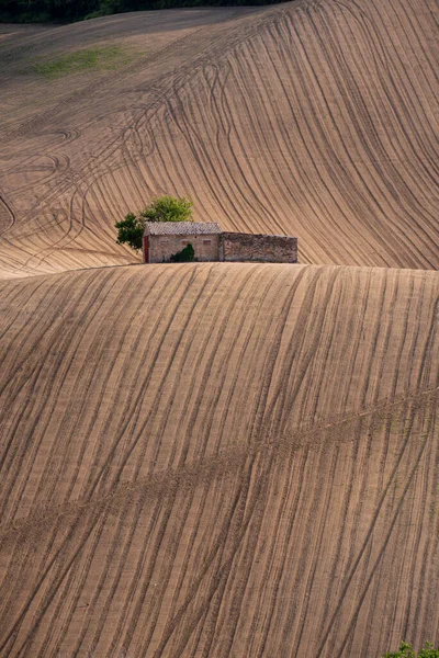Ländliche Landschaft Mit Feldern Haus Und Baum — Stockfoto