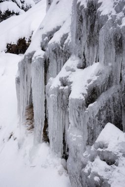 Karla kaplı ağaçlarla kaplı kış mevsimi manzarası
