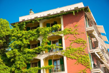 Güneşli bir günde sarmaşık yapraklarıyla kaplı eski bir ev.