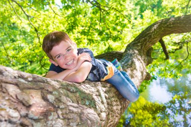 Mutlu çocuk ağaca tırmanıyor.