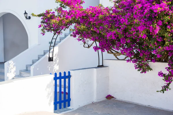 Красивые Белые Дома Острове Санторини Греция — стоковое фото