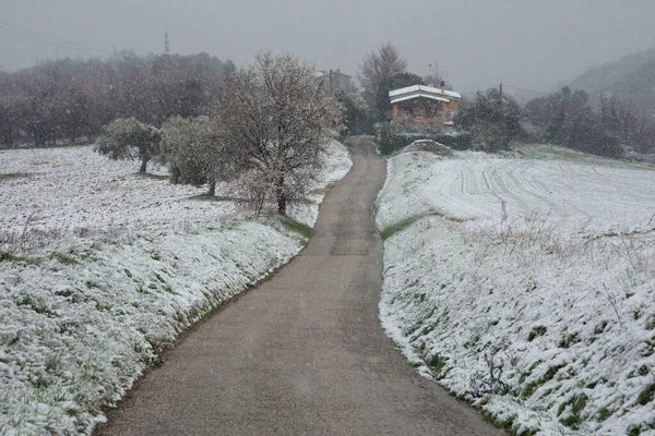 gloomy landscape with road and fields