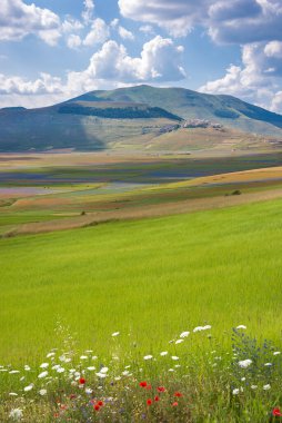 Güzel dağ çayırının manzaralı görüntüsü