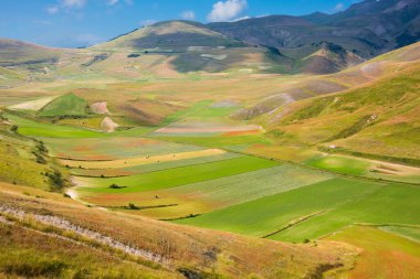 scenic shot of beautiful mountain meadow